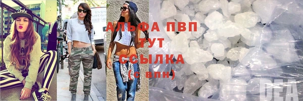 соль ск Няндома