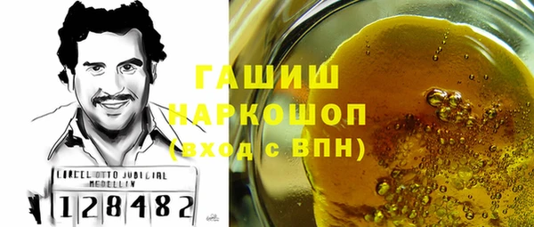 соль ск Няндома