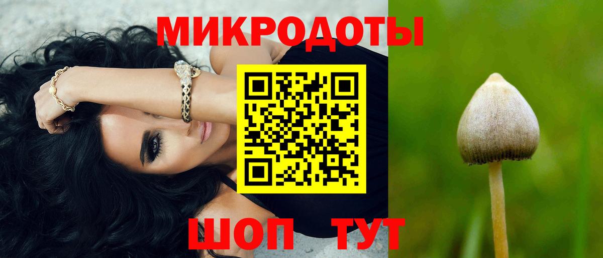 ГАШ Новосибирск