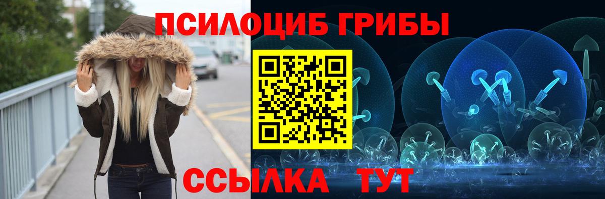 Псилоцибиновые грибы Psilocybe  купить наркотики сайты  Новосибирск  Вход с VPN 