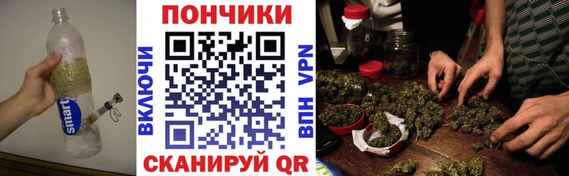 Бошки марихуана марихуана  Новосибирск 